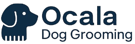 logo of the website